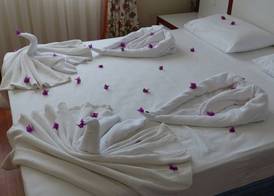 Anik Hotel 4