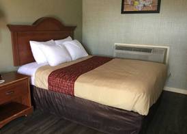 FALLS INN 4