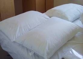 Arizona Family and Dogs Welcome Caravan 3 Bedrooms 2