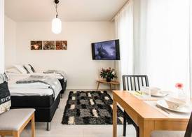 Nordica Design Residence Rovaniemi 5