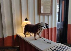The Cluanie Inn 2