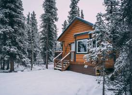 Denali Wild Stay 2