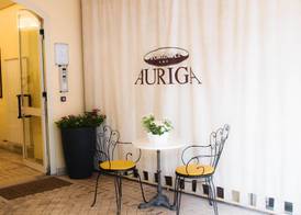 Residence Auriga 2