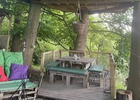 Owl Lodge 4
