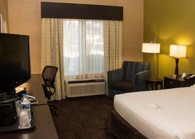 Holiday Inn Express & Suites SAGINAW by IHG 4