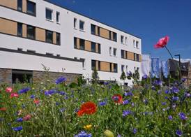 Bethel Hotel zum Weinberg 4