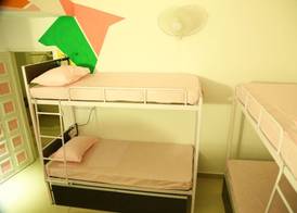 Zostel Udaipur 4