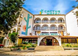 Cactus 5
