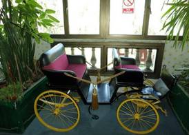 Hotel Foresta 4