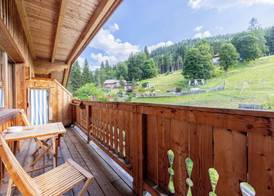 Natur- und Wellnesshotel Höflehner 4