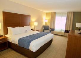 Comfort Inn Near Quantico Main Gate North 3