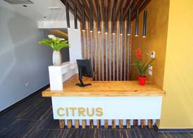 Hotel Citrus 2