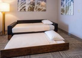 SpringHill Suites Minneapolis Maple Grove/Arbor Lakes 3