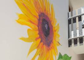La Mina Hostal Boutique 2