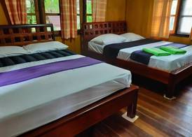 Jungle Bay Resort 3