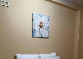 Queen's Comfort Inn 5