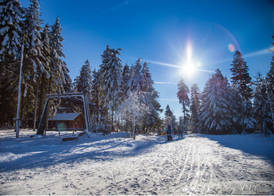Sauerland Alpin Hotel 4