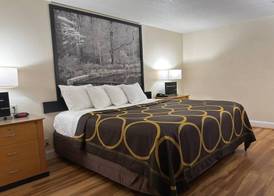 Super 8 by Wyndham Anderson/Clemson Area 4