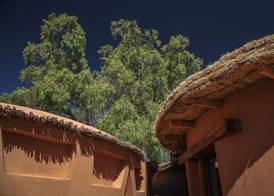 Awasi Atacama 3