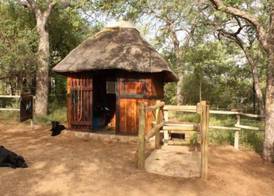 Offbeat Safaris 3