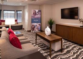 Staybridge Suites ST GEORGE by IHG 3