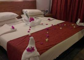 Panda resort 4