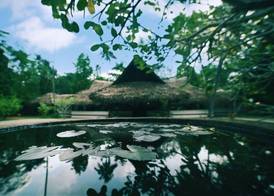 Marari Beach Resort Alleppey - A CGH Earth Experience 2