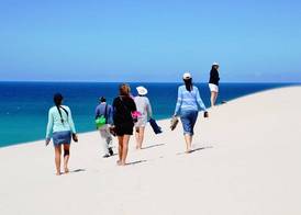 De Hoop Collection 2