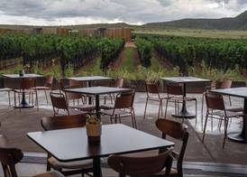 Casitas at Los Milics Vineyards 4