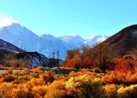 Mount Whitney Motel 4