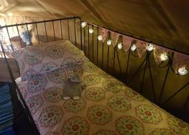 Primrose Farm Holidays 5