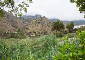 Finca Piñero 3