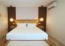 Empyrean Tropical Wellness Portillo 5
