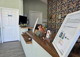 Sequoia Village 4