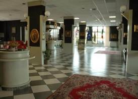 Hotel Cavallino 4