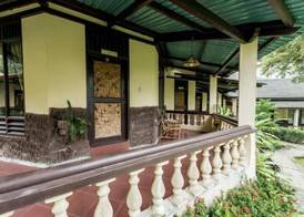 Ecolodge Bukit Lawang 5