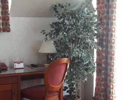 Hotel Central 2