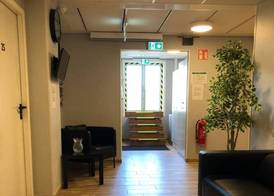 Golden Hostel 3