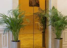 Boutique 19 Hotel 4