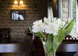 The Plough 5
