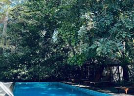 Tree House Hotel (sha Certified) 5