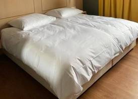 Hotel Union 4