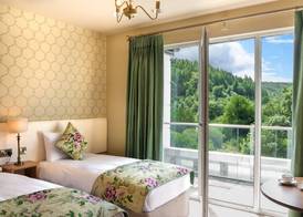 Woodenbridge Hotel 3