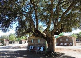 Hostal - Bungalows Camping Cáceres 4