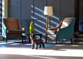 The Lodge Hotel - Putney 5
