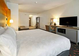 Holiday Inn & Suites CALGARY AIRPORT NORTH by IHG 3