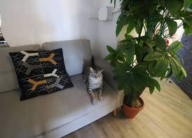 Guest House Pirelli Milano 3