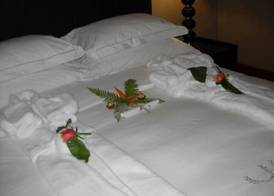 Witwater Guest House & Spa 3