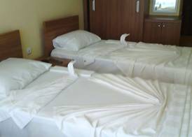 Graywolf Hotel 5