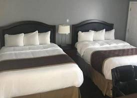 Rex Motel 5